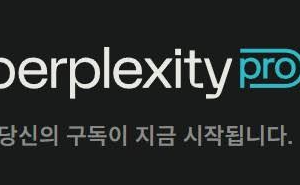 퍼플렉시티 프로 1개월 구독 Perplexity Pro